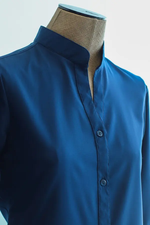 Sample closet item: Blue shirt